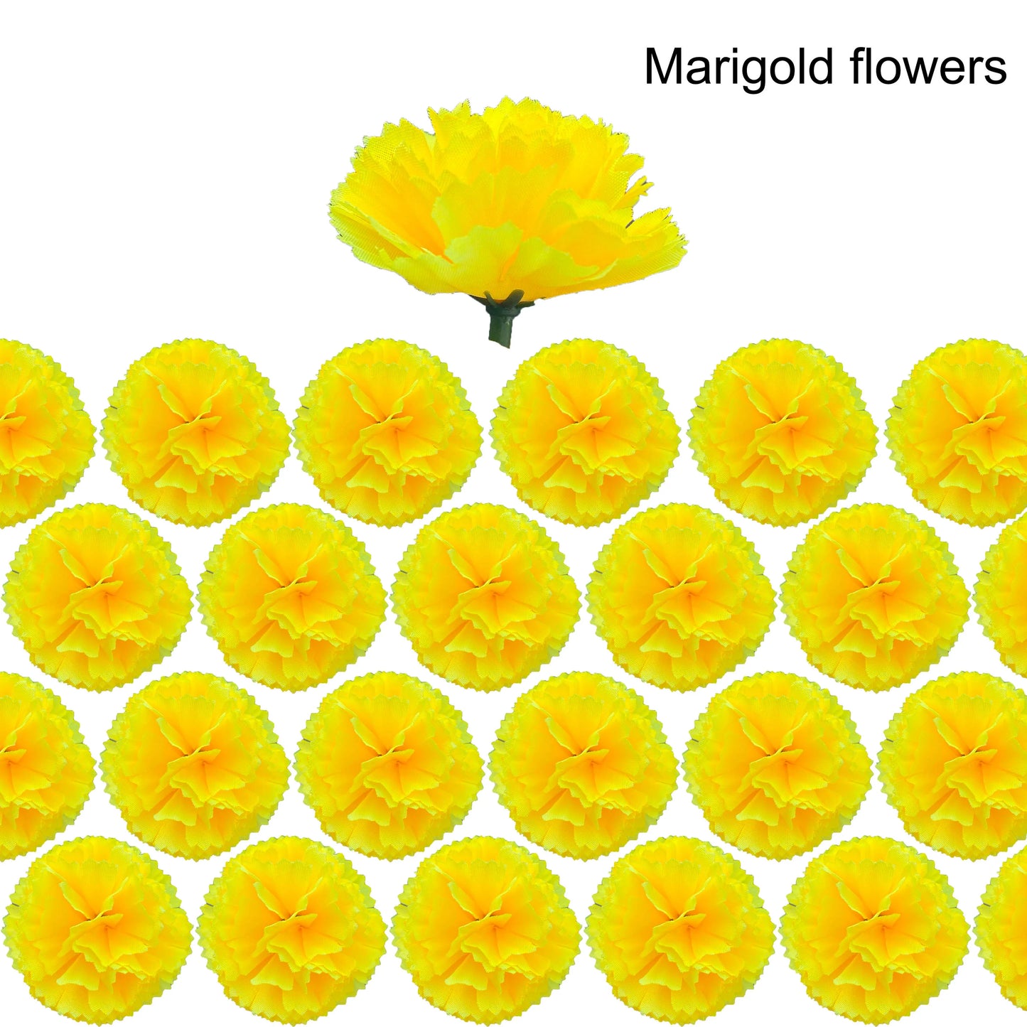 marigold flower heads bulk