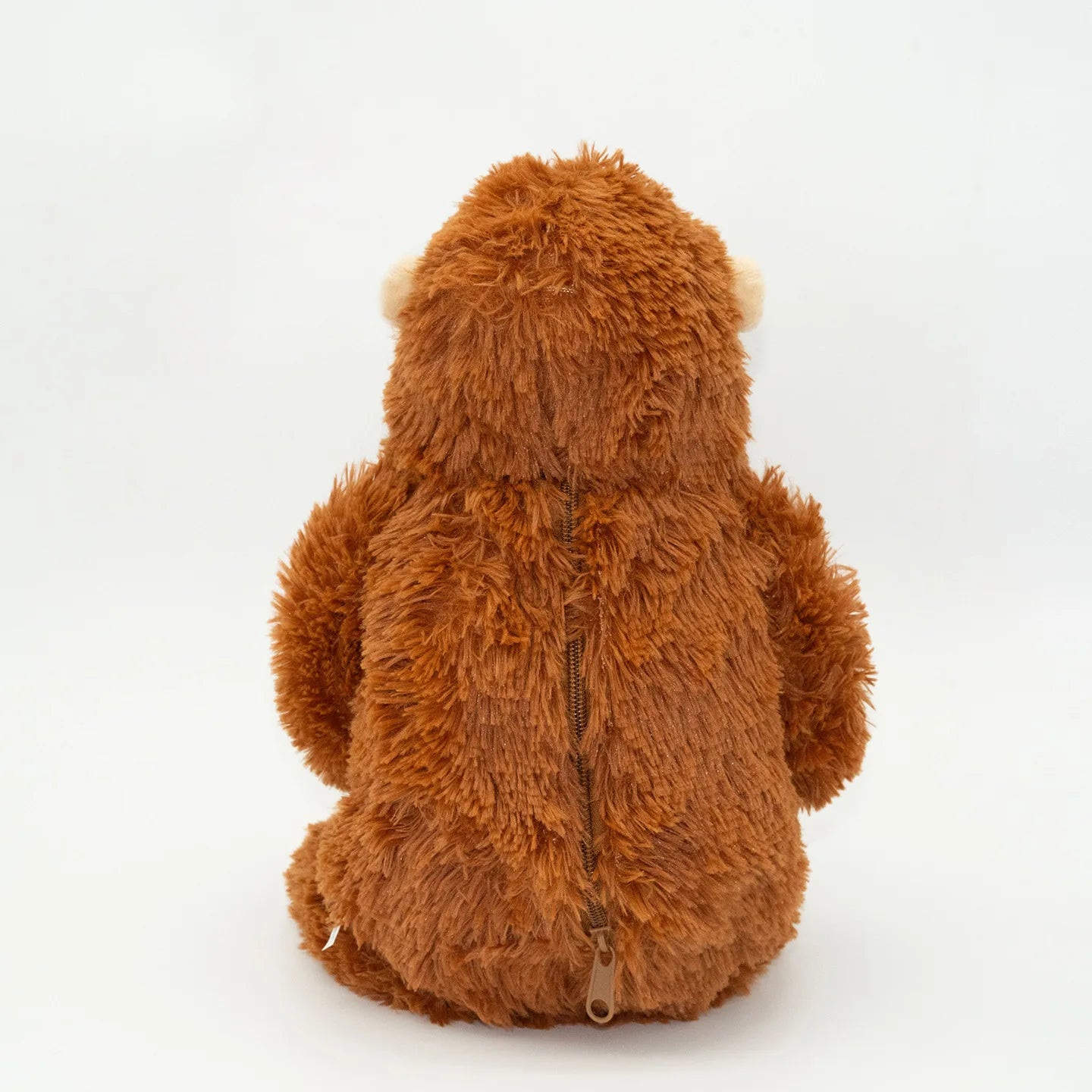 Brown teddy bear on a white background