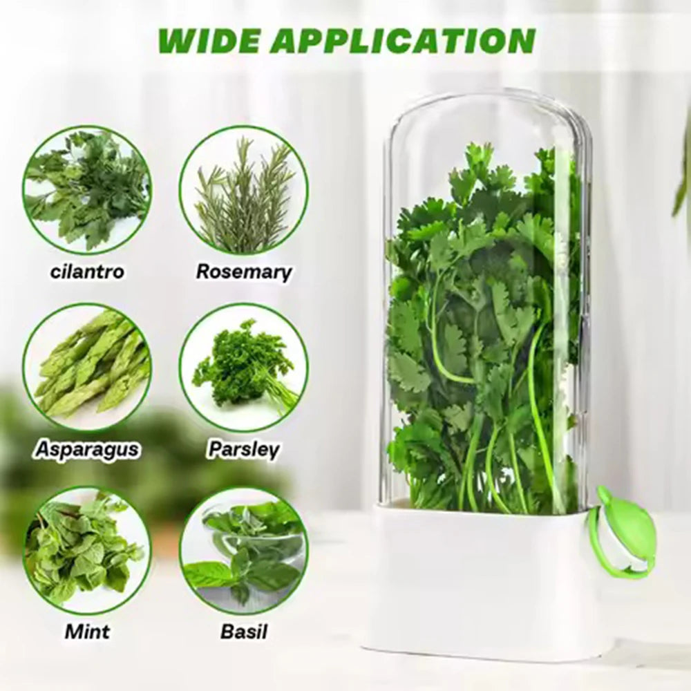 Reusable Herb Crisper Saver Pod – perfect for cilantro, mint, and parsley – kitchen storage USA