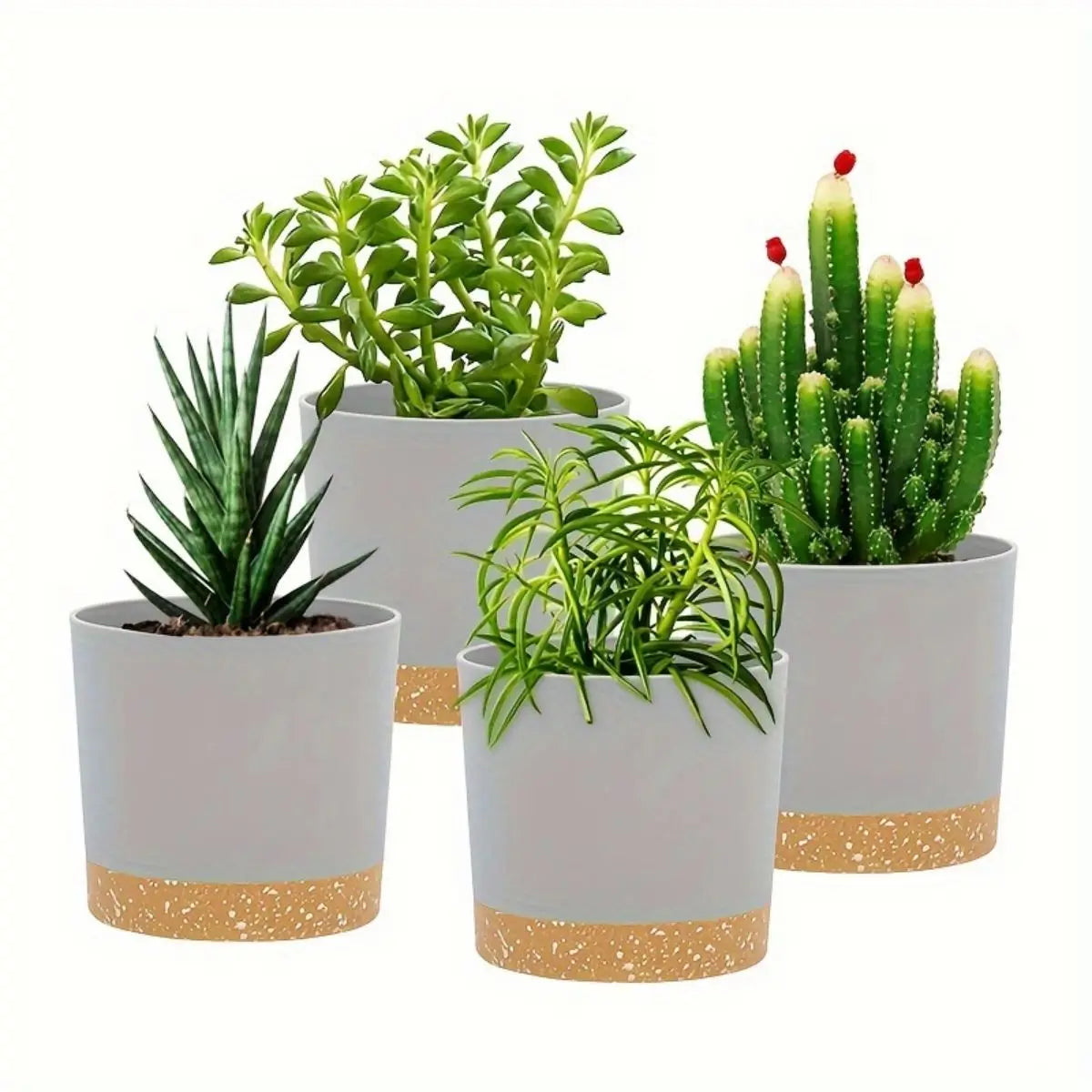 round plant pots with removable base for drainage