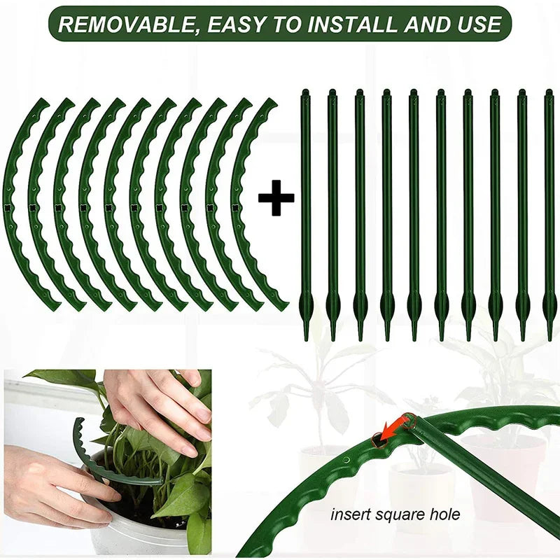 8PCS Plastic Plant Support Frame | Semicircle Vine Climbing Bracket for Indoor Plants