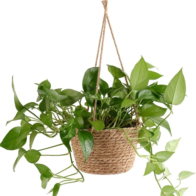 Macrame plant hanger basket – indoor/outdoor décor for home and balcony USA