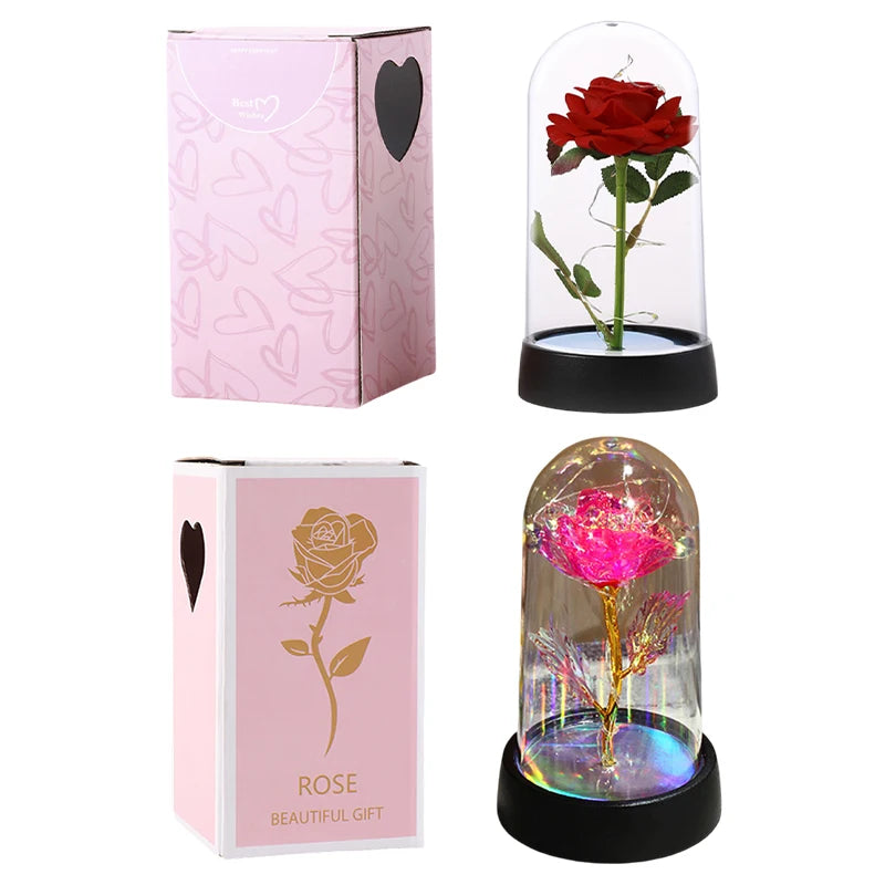 acrylic dome eternal rose display light