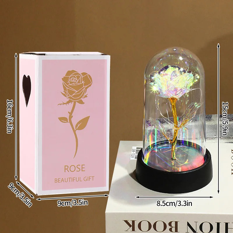 acrylic dome eternal  rose display lighted