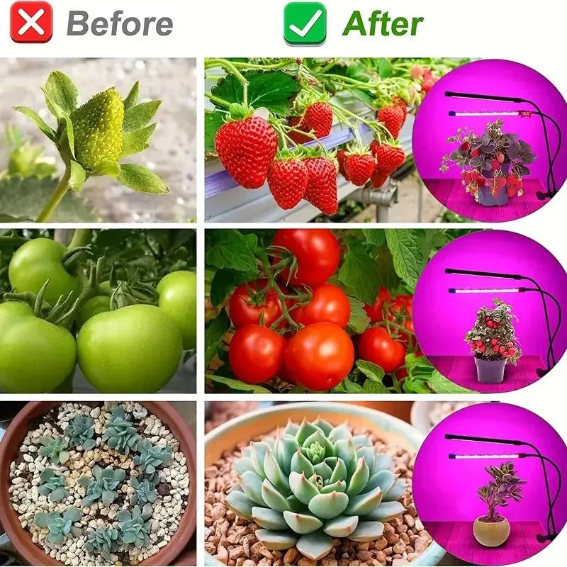 Full spectrum USB plant light – dimmable, timer included for indoor use USA