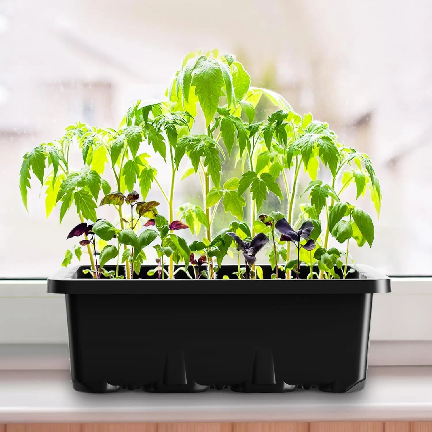 10 pack seed starter tray – 12-grid germination kit with labels and dome USA
