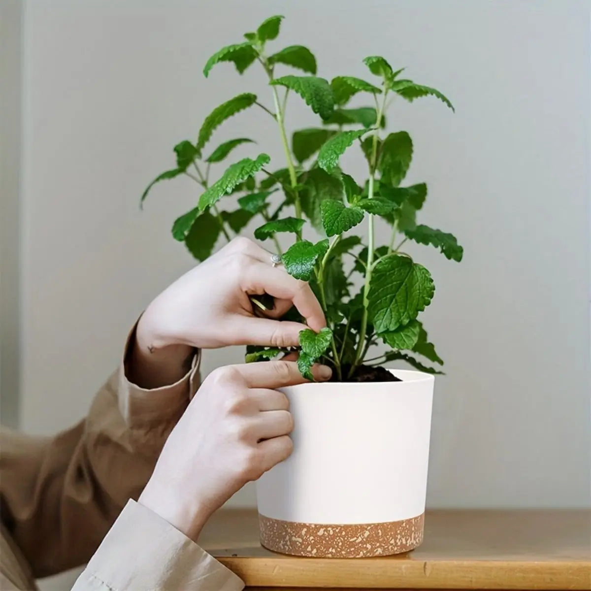indoor round planter pots for small plants