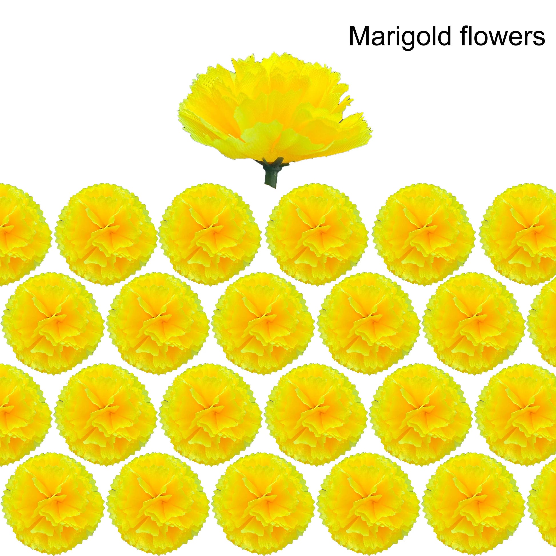 marigold flower heads bulk
