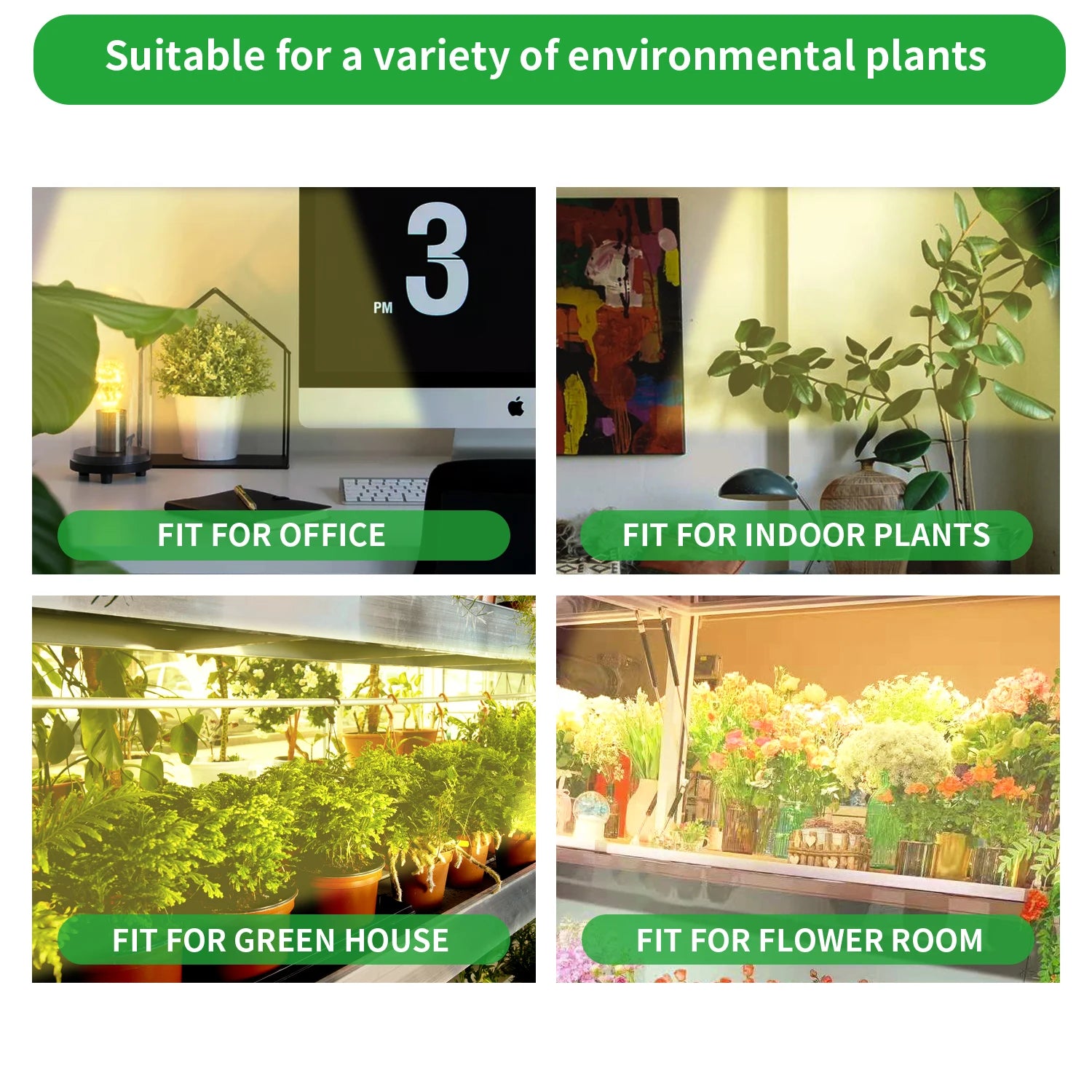 USB LED light for plants – indoor full spectrum with timer and brightness control USA