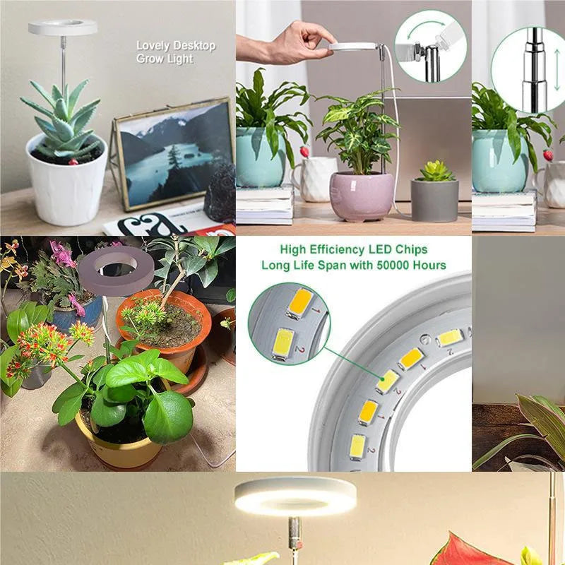 led grow lamp for indoor herbs and flowers