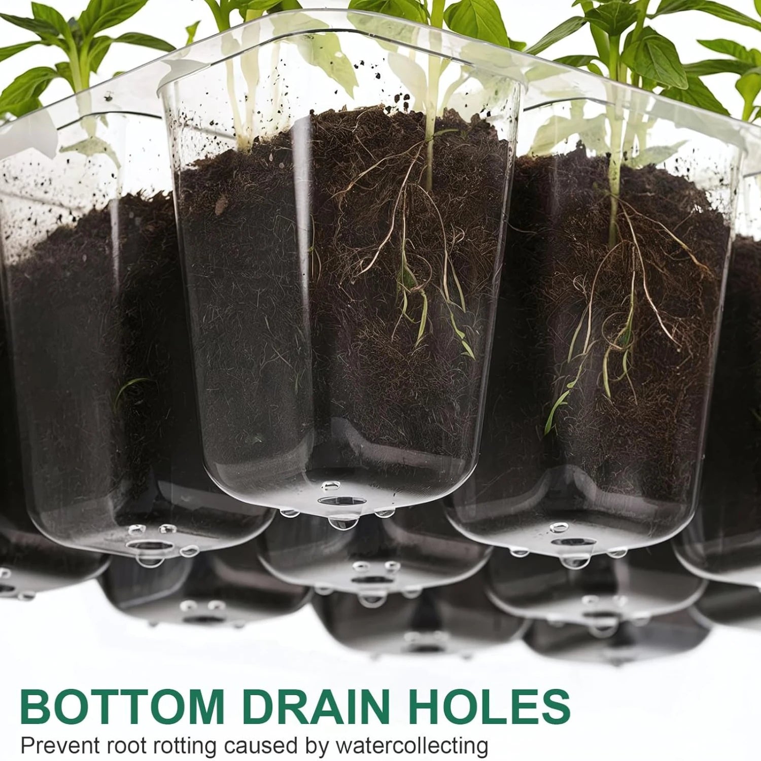 Adjustable humidity dome seed tray – 10 pack for starting seeds and seedlings USA