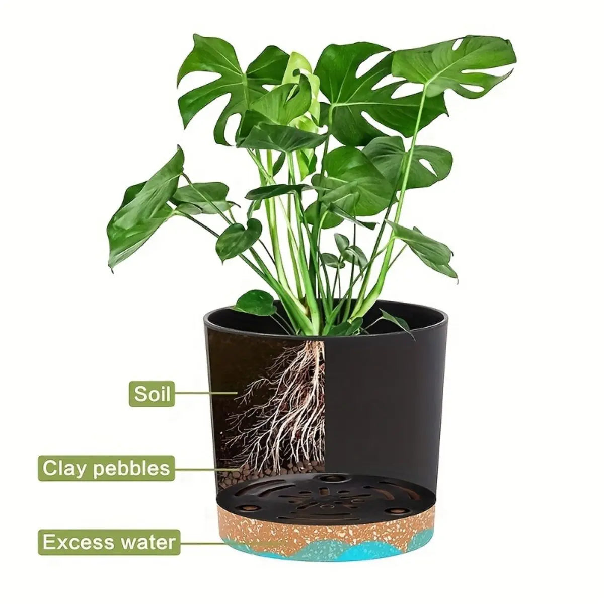 round plastic plant pots with drainage removable base