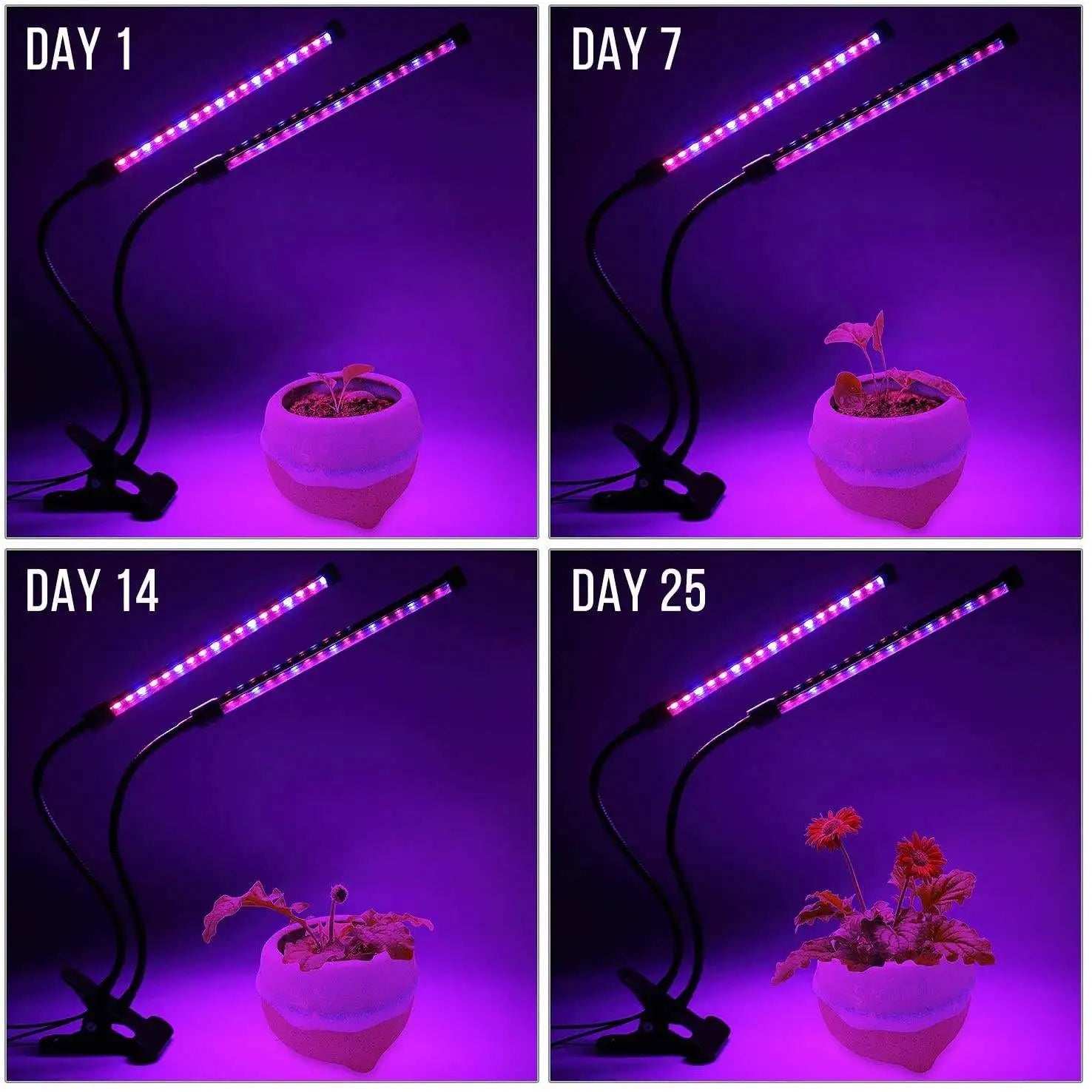 USB LED grow light for indoor plants – timer and dimmable full spectrum USA