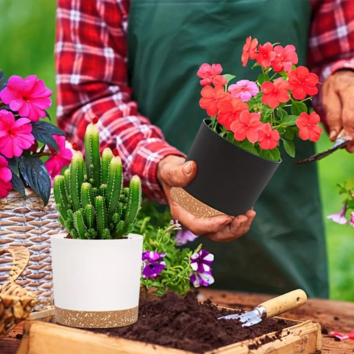 flower pot set for home and balcony plants