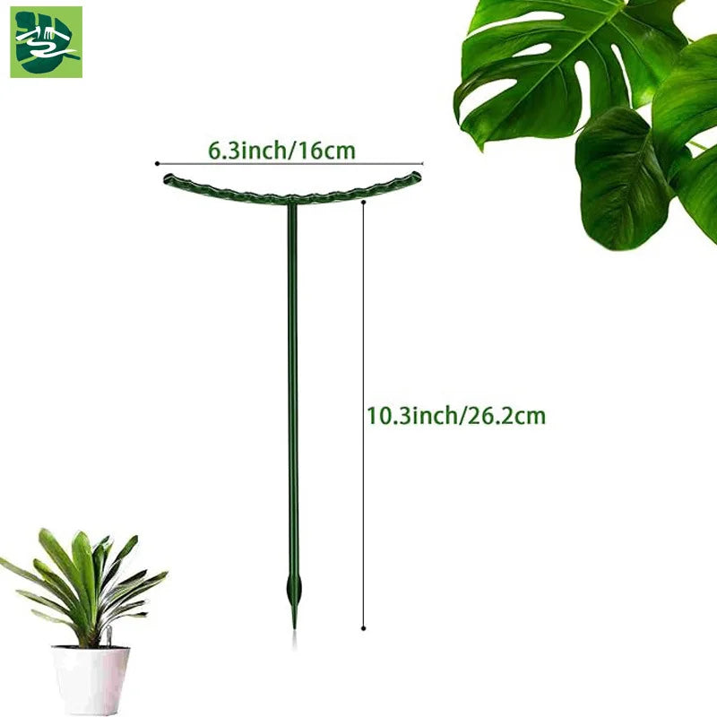 8PCS Plastic Plant Support Frame | Semicircle Vine Climbing Bracket for Indoor Plants