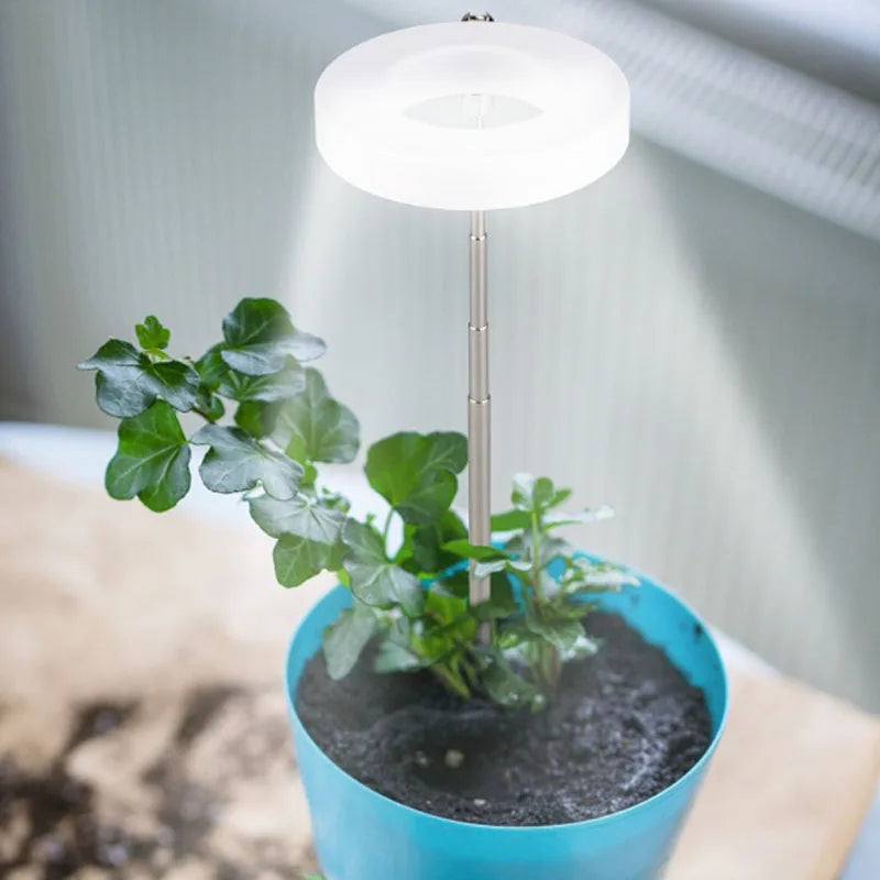 plant growth light for indoor gardening setup