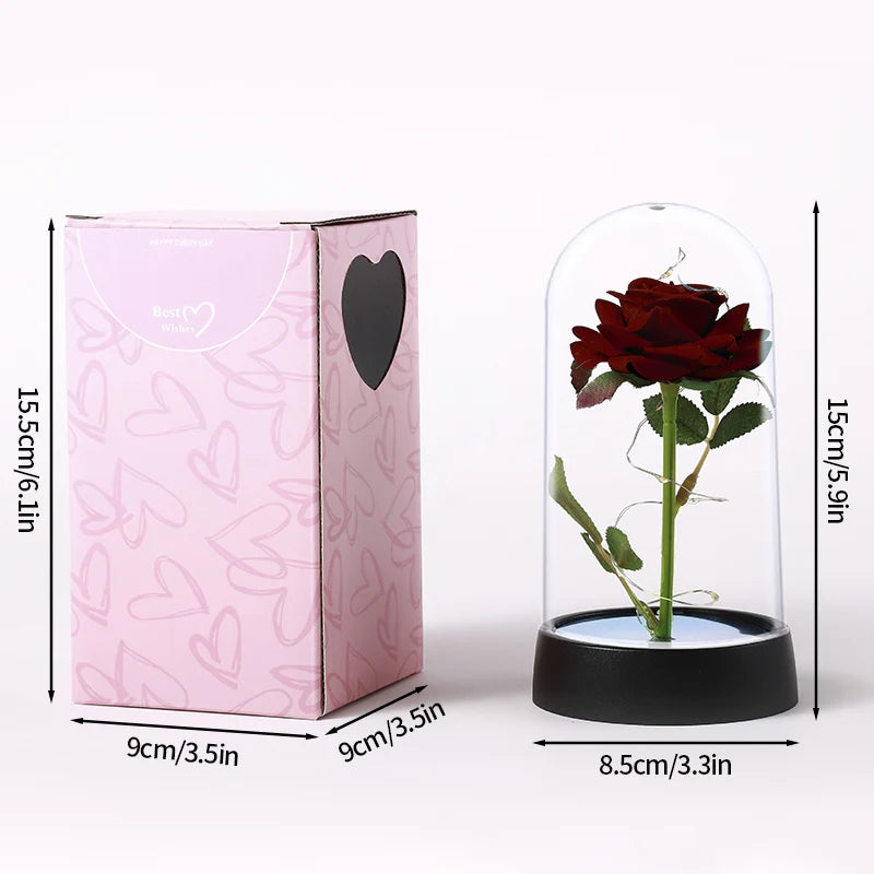 eternal rose dome light premium gift idea