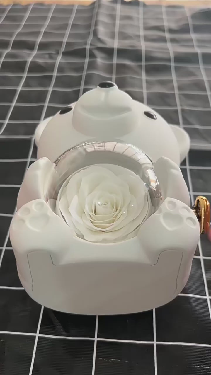 Eternal Rose Teddy Bear Jewelry Box with Custom Name Necklace Romantic Gift